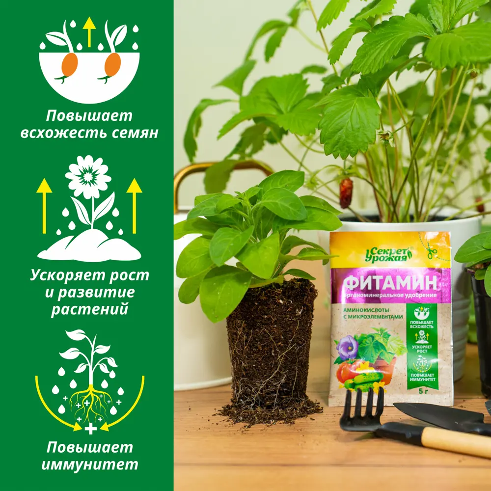 Удобрение Биомастер Фитамин со стимулятором 5 г Santreyd Универсальное STLM-2206164 - Вид №2