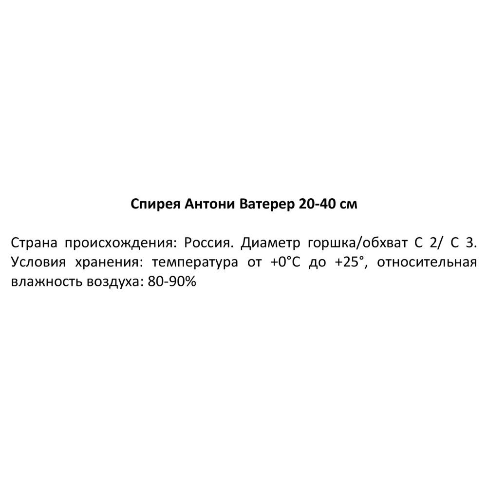 Спирея японская Антони Ватерерс ø19 см h20-30 см 85087663 STLM-2045951 Santreyd  - Вид №2