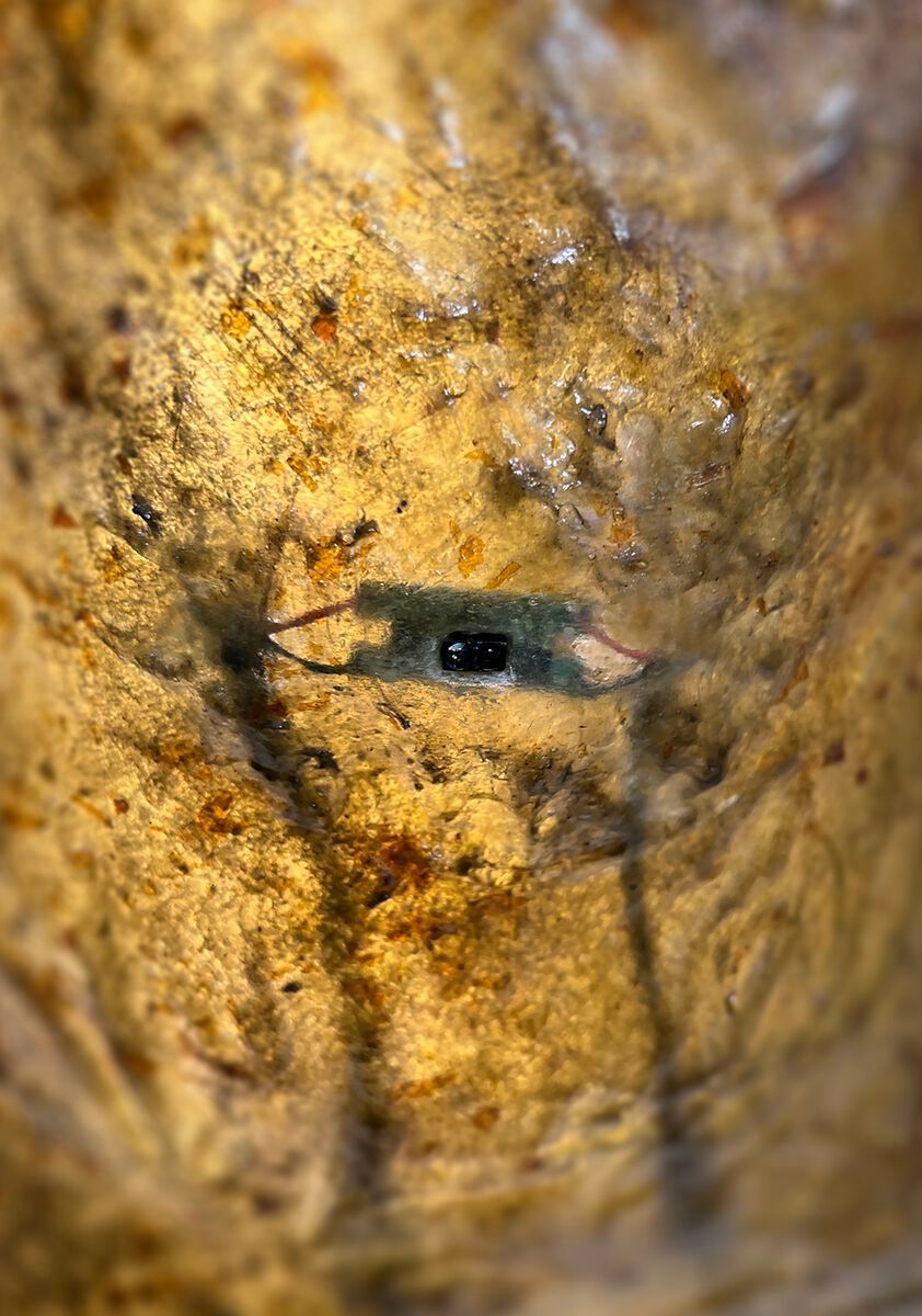 Яркая скульптура LO Contemporary COMMUNAL NEST ESSAY ARCH-00050542 - Вид №2