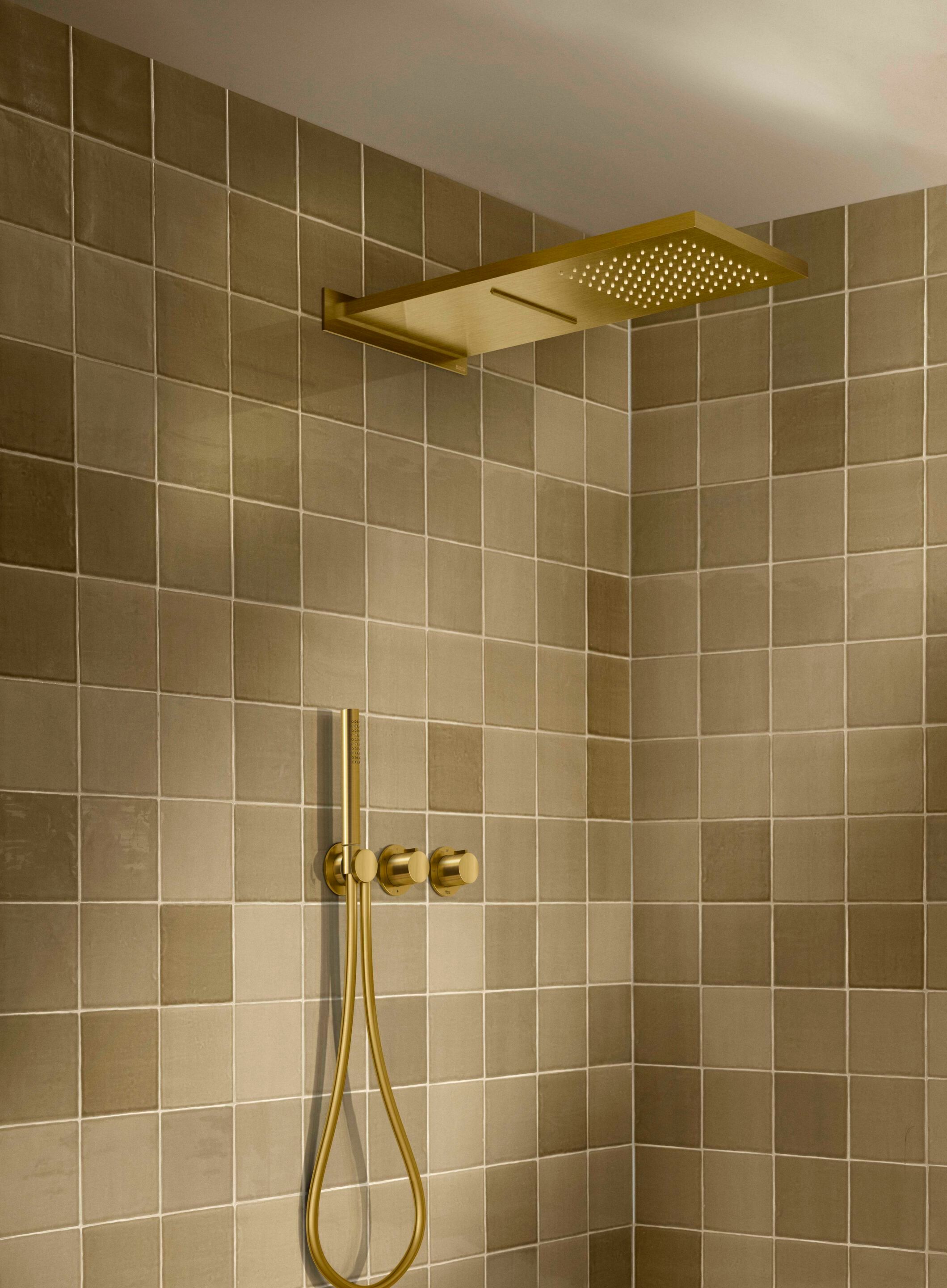 Настенная душевая головка с 2 струями Roca Raindream ARCH-00018831 - Вид №2