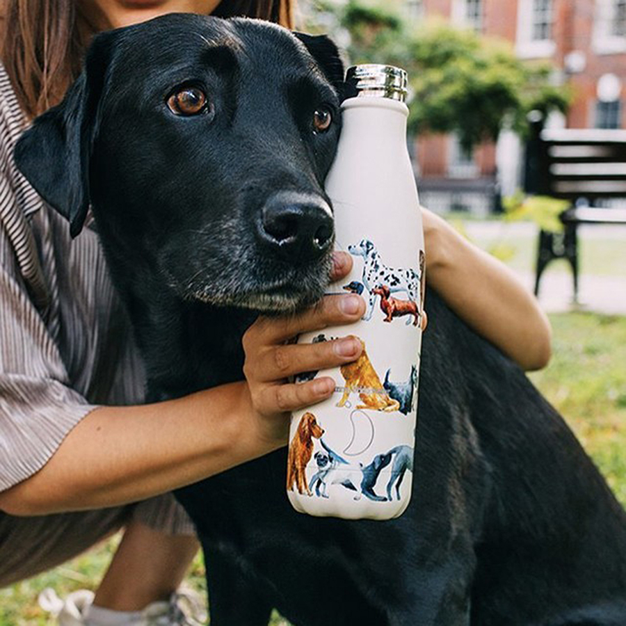 B500EBDOG Термос emma bridgewater, dogs, 500 мл Chilly's Bottles  - Вид №2