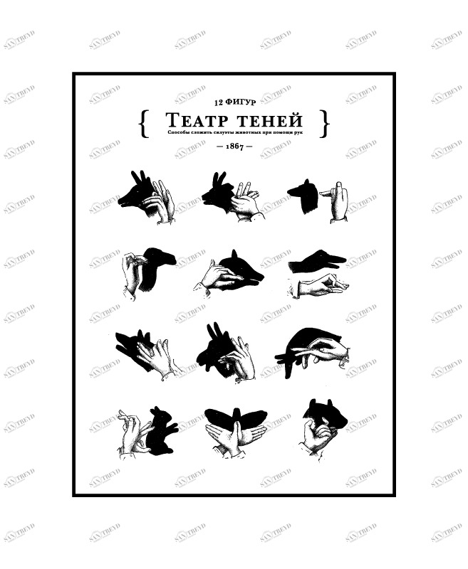 Постер "Театр теней" HAPPY STATION ДИЗАЙНЕРСКИЕ 009020 Белый 