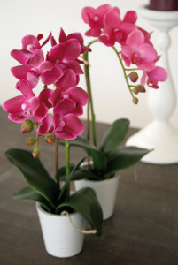2610 515 a3 Искусственная орхидея Phalaenopsis, горшечная, 33 см, real touch, розовая H-andreas