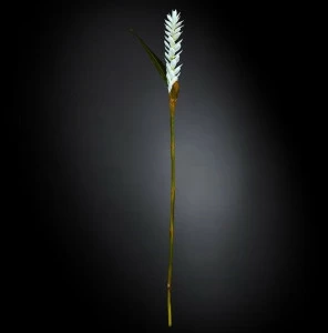 VGnewtrend Искусственное растение из полиэстера  1001674.95