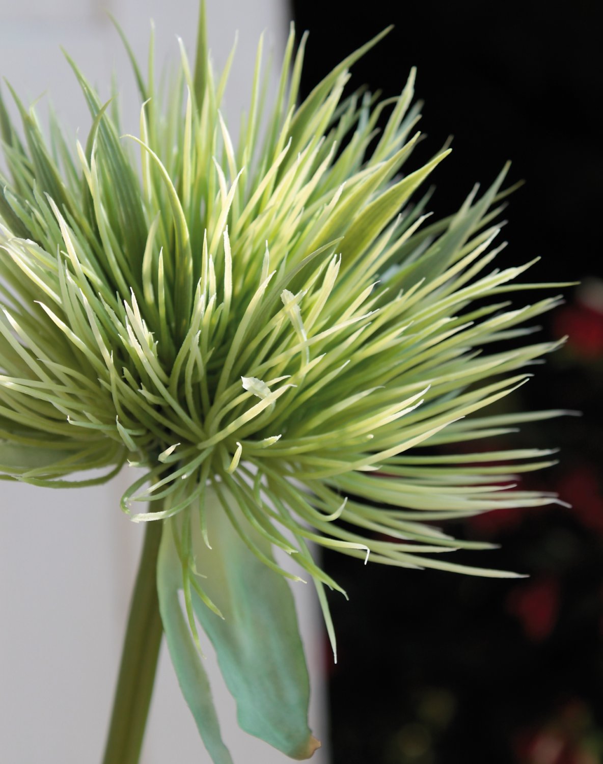 5851 883 a2 Искусственный ковыль китайский, 85 см, зеленый H-andreas  - Вид №1