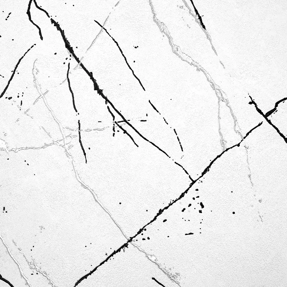 Флизелиновые обои Ateliero Rinaldi - черно-белая классика с текстурой 87904519 STLM-0076115 - Вид №1