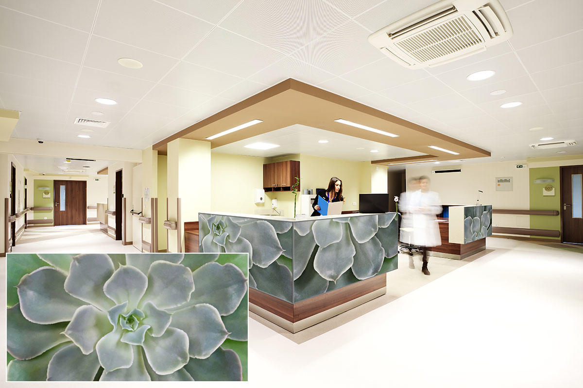 FSRT384 Зум-стекло Vivispectra с прослойкой из агата  Forms-surfaces  - Вид №14