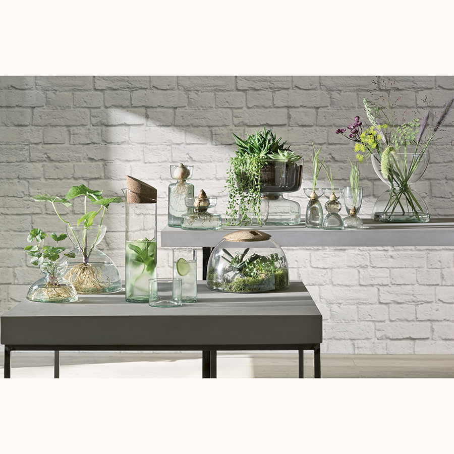 G1580-16-161 Флорариум canopy 16см LSA International  - Вид №2