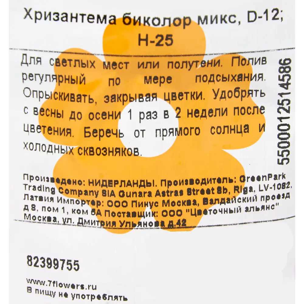 Хризантема Биколор микс 12x25 см 82399755 STLM-2104823 Santreyd  - Вид №2