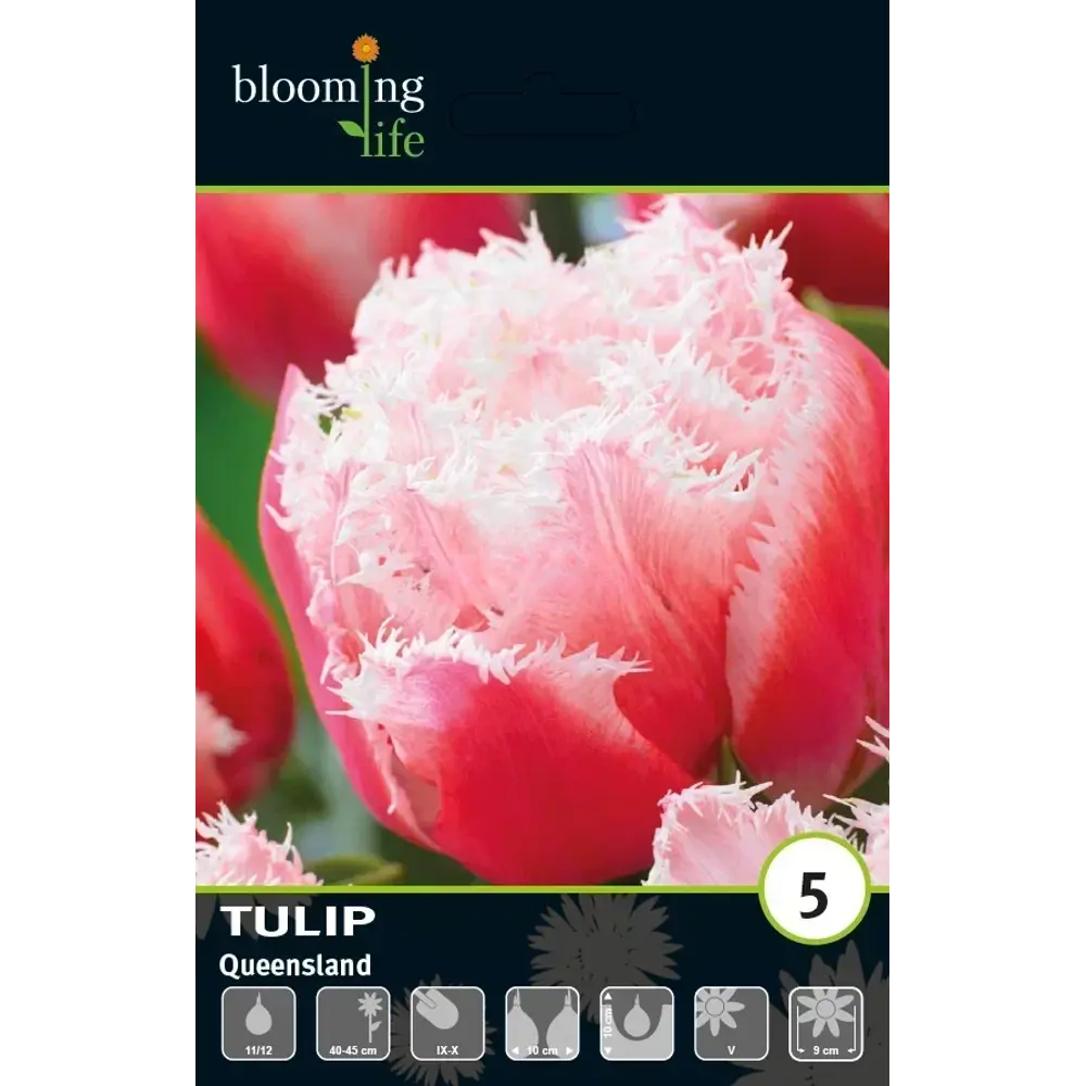 Луковицы тюльпана махрового бахромчатого Квинсленд 89432967 Santreyd STLM-1579652