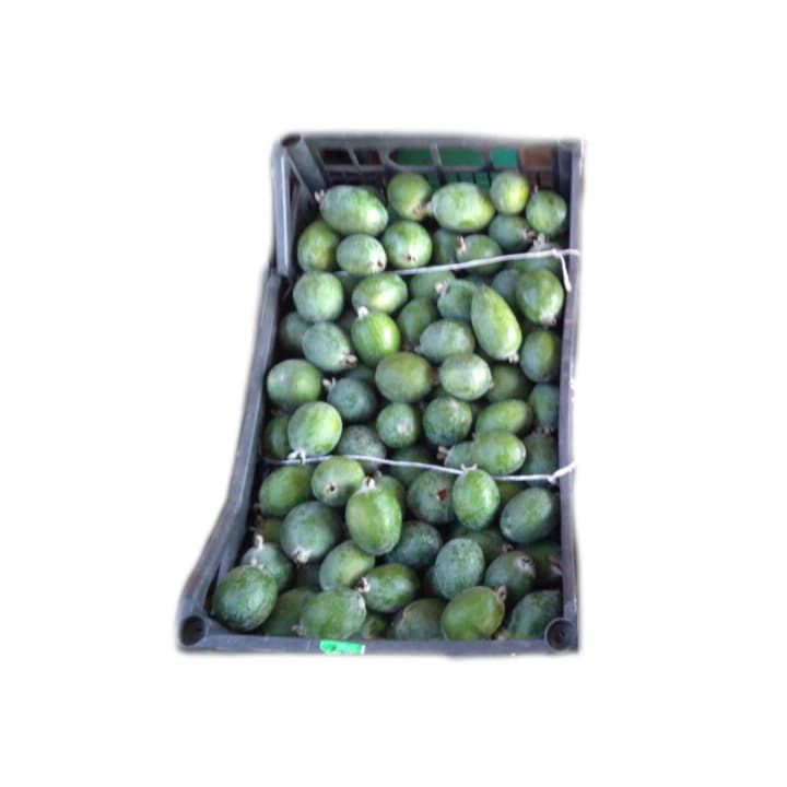 Фейхоа в ящике ~11 кг Santreyd 19510 - Вид №1