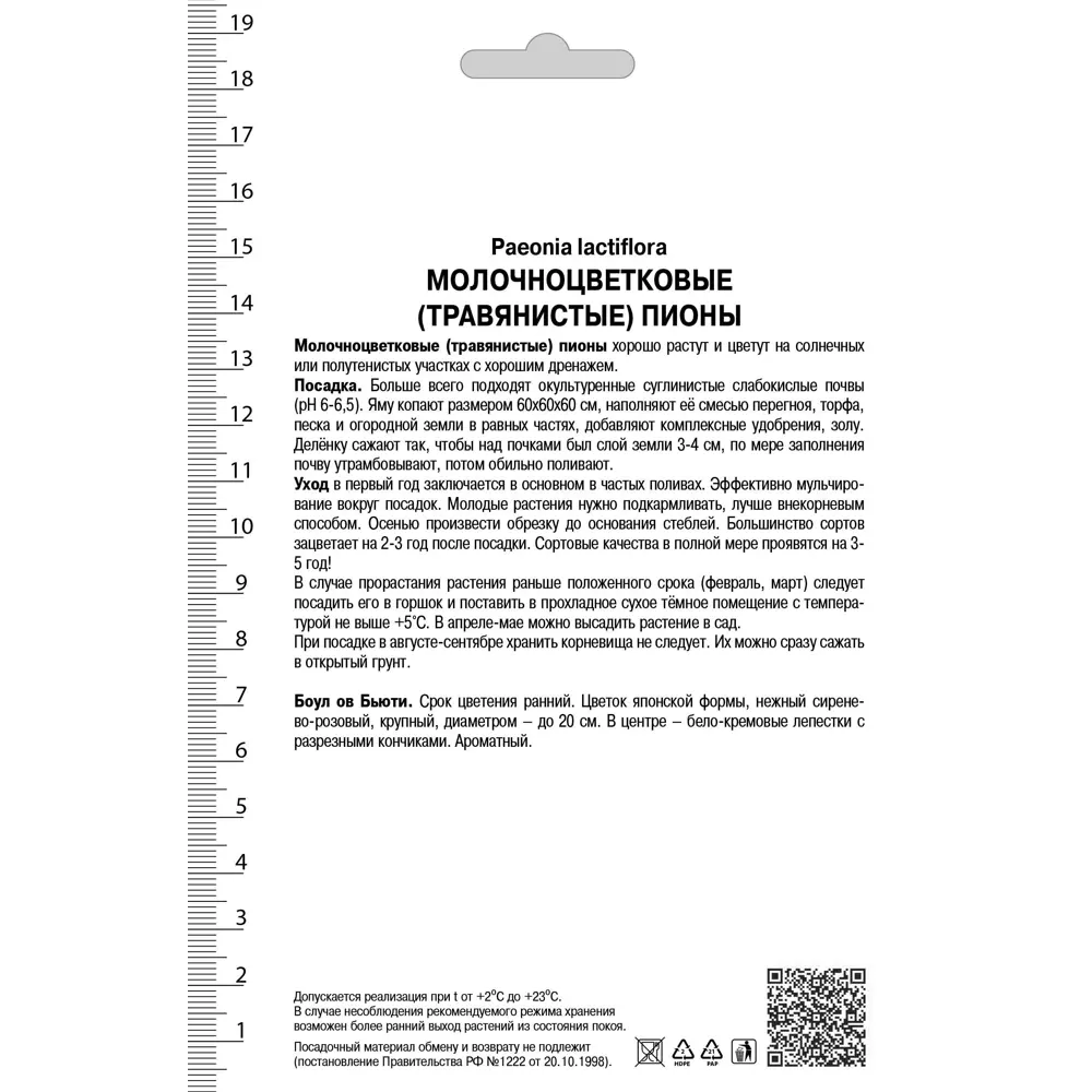 Пион травянистый «Боул ов Бьюти» 82530280 STLM-2149980 Santreyd  - Вид №1