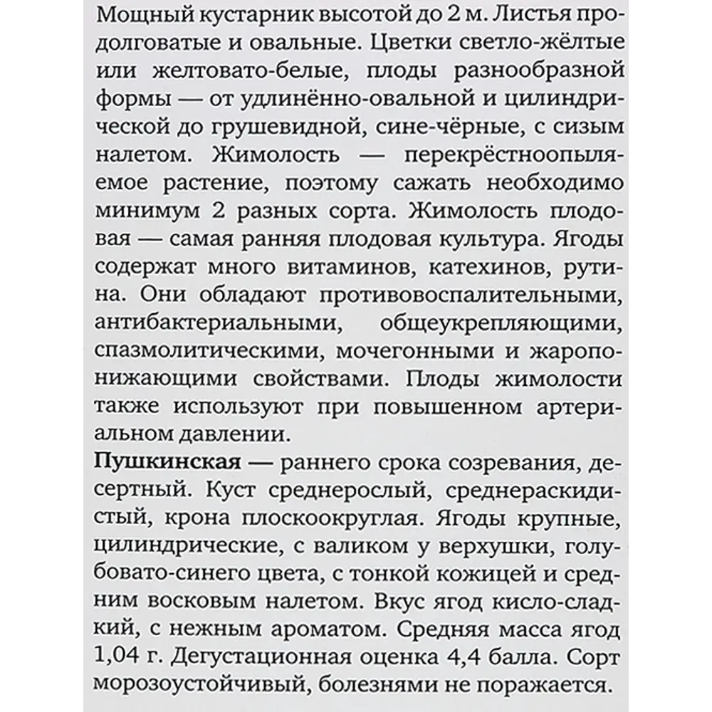 Жимолость съедобная Пушкинская h40 см 86543994 STLM-2107931 Santreyd  - Вид №3