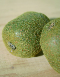 7267 666 a2 Искусственный киви, 7 см, коричневый H-andreas