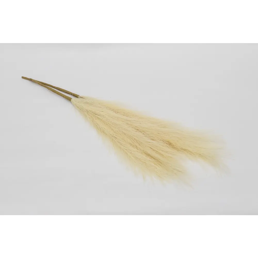 Декоративный сухоцвет 60 см бежевый Santreyd STLM-2087021 - Вид №1