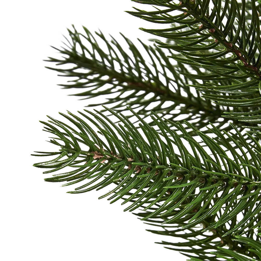 Ель новогодняя искусственная Beatrees Вега h150 см STLM-2018238 - Вид №2