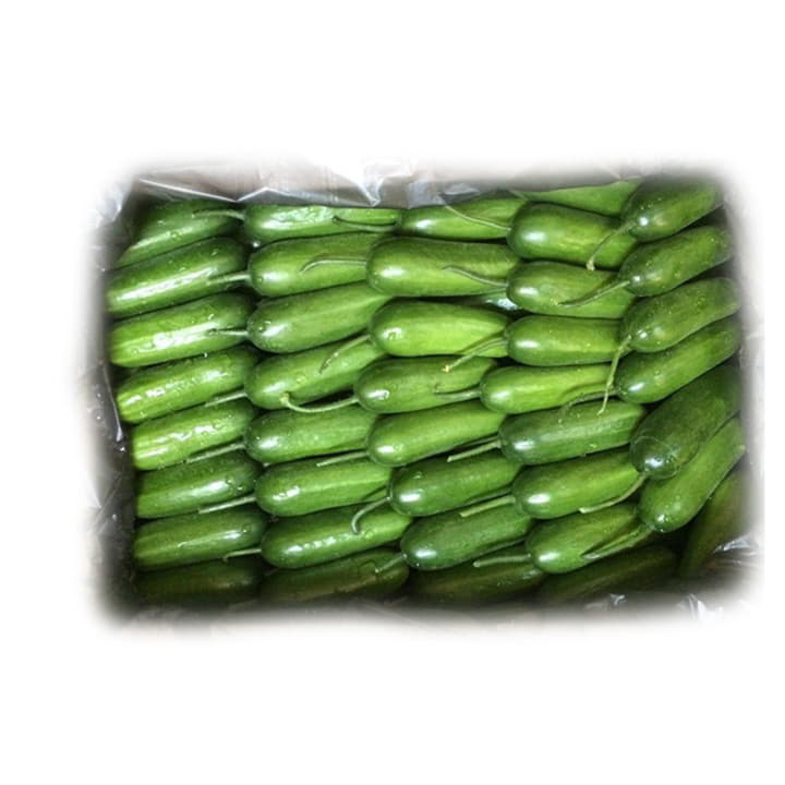 Огурцы бакинские темные в ящике ~12 кг Santreyd 19505 - Вид №1