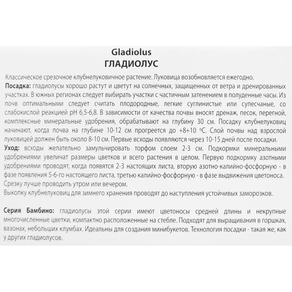 Гладиолус бамбино Ривендейл, 3 шт. 89351777 STLM-2034580 ПОИСК  - Вид №2