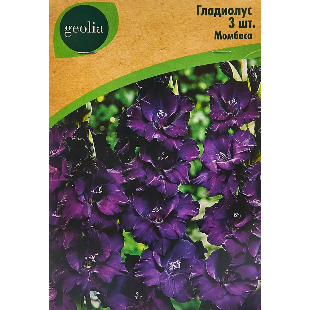 Гладиолус крупноцветковый Момбаса Geolia 3 шт 86408549 STLM-2027666 