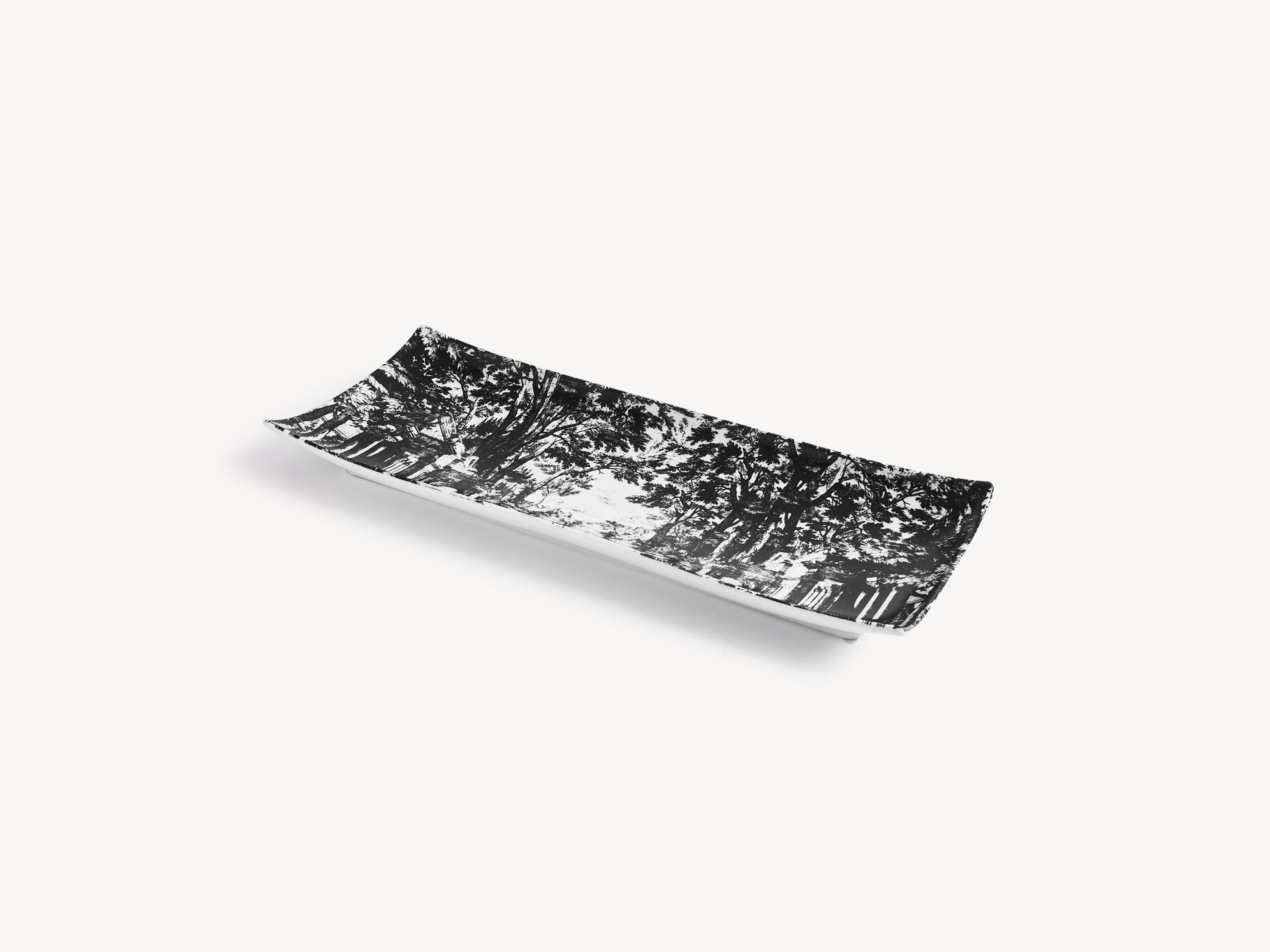 ARCH-00029742 Лоток для хранения яиц Fornasetti Giardino Settecentesco - Вид №1