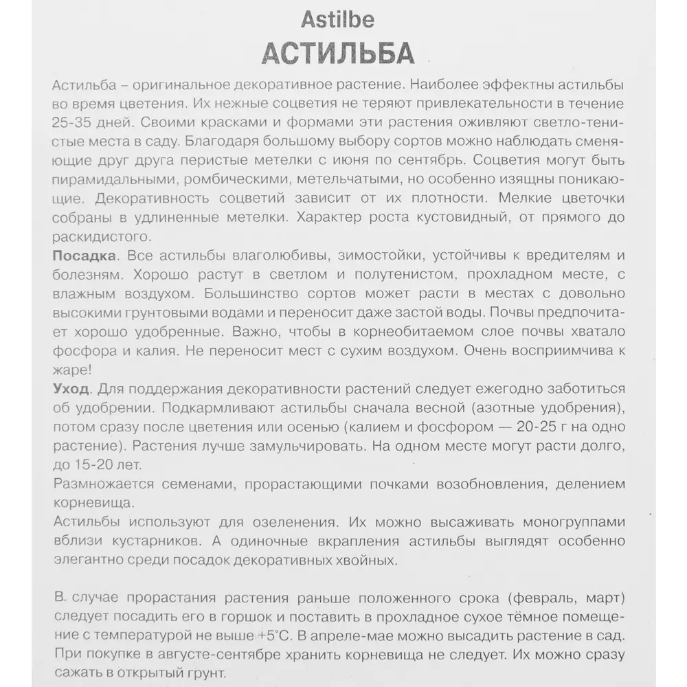 Астильба Арендса Фёэр 85186011 STLM-2022674 ПОИСК  - Вид №2