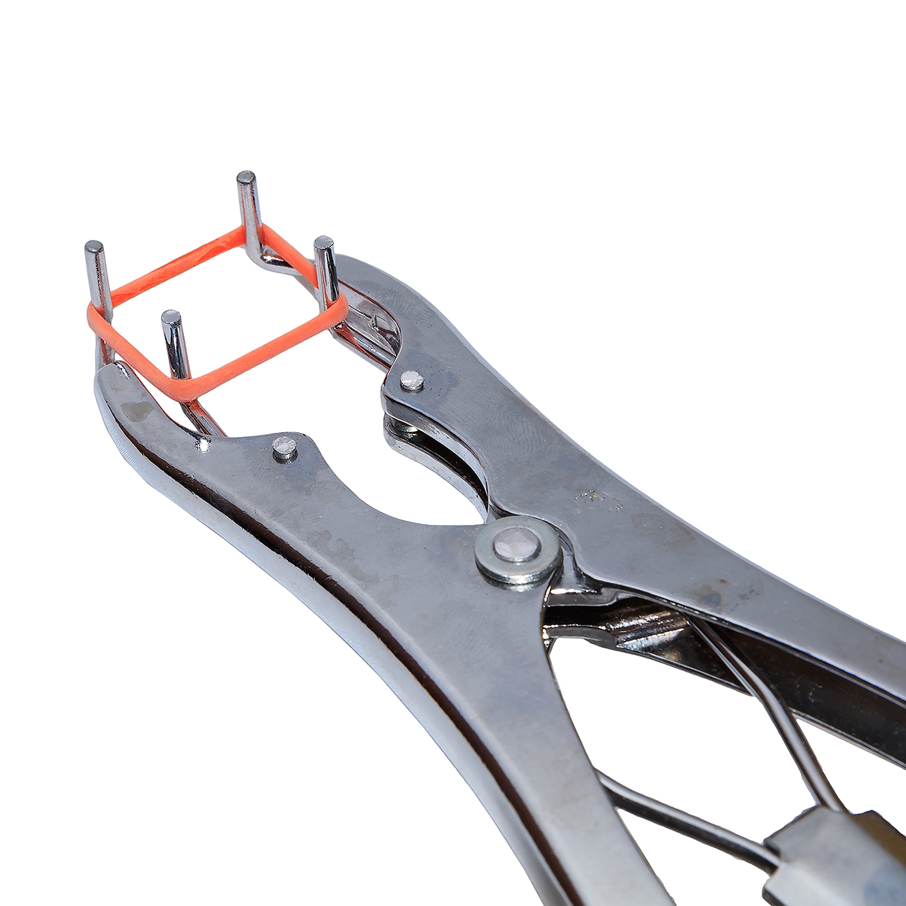 7778 Резиновые кольца для кастрации LAB.Space 