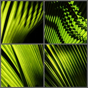 Фотокартина 100х100 см "Клавиши" PANKOVSKY STUDIO ПЛАСТИФИКАЦИЯ 015867 Зеленый;черный