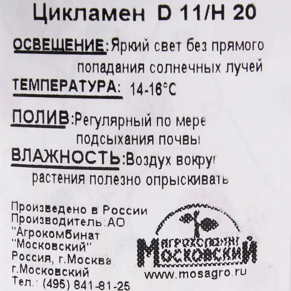 Цикламен Santreyd — изящный многолетник с серебристой листвой 18438828 STLM-0010786 - Вид №1