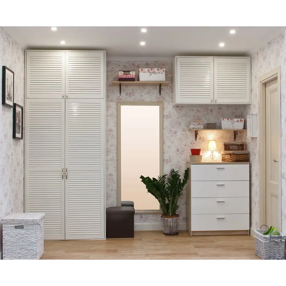 Santreyd Замиокулькас - экзотическое растение Мадагаскара с глянцевыми листьями 14031078 STLM-0004201 - Вид №2