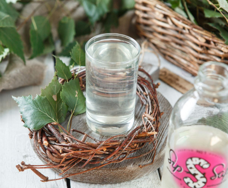 5253 Сок березовый с алоэ Вкусляндия  - Вид №2