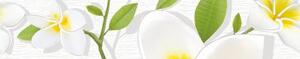 Frangipani  BW0FRG00  50х250