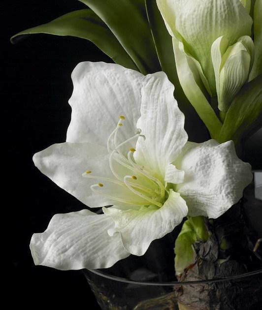 VGnewtrend Искусственное растение  1140955.95  - Вид №3