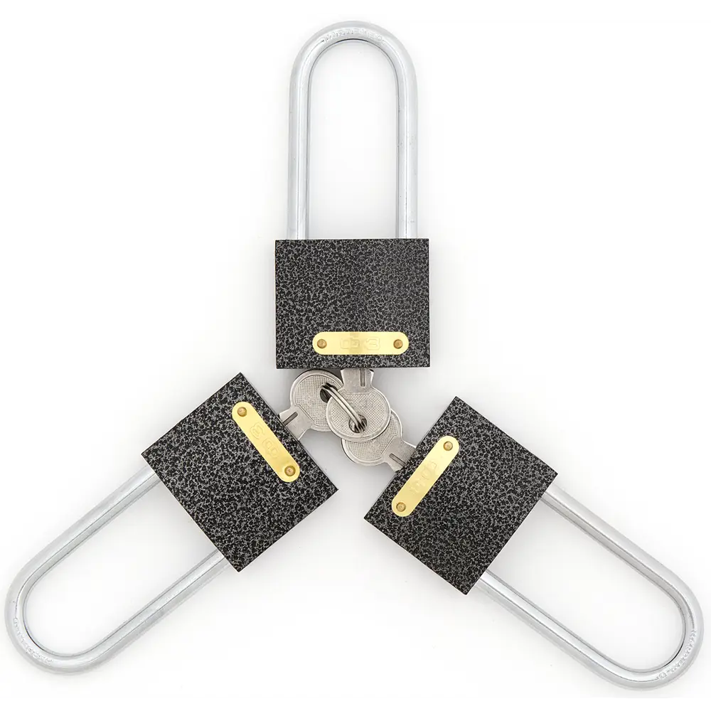 Набор навесных замков 303F-50L 3P6K 50x41 мм, чугун Santreyd STLM-2030484 - Вид №4