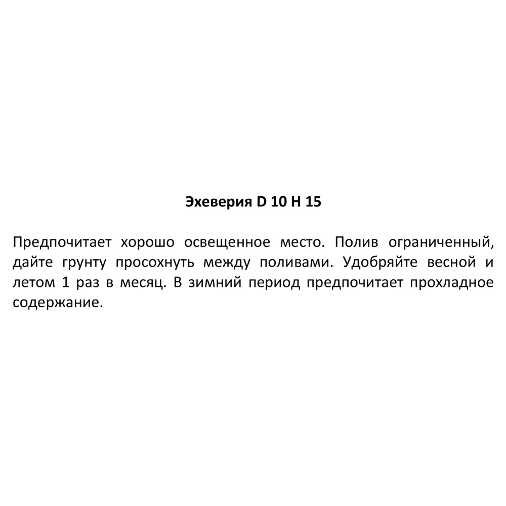 Santreyd Эхеверия — суккулент с живыми розетками для интерьера 89352933 STLM-0949590 - Вид №4