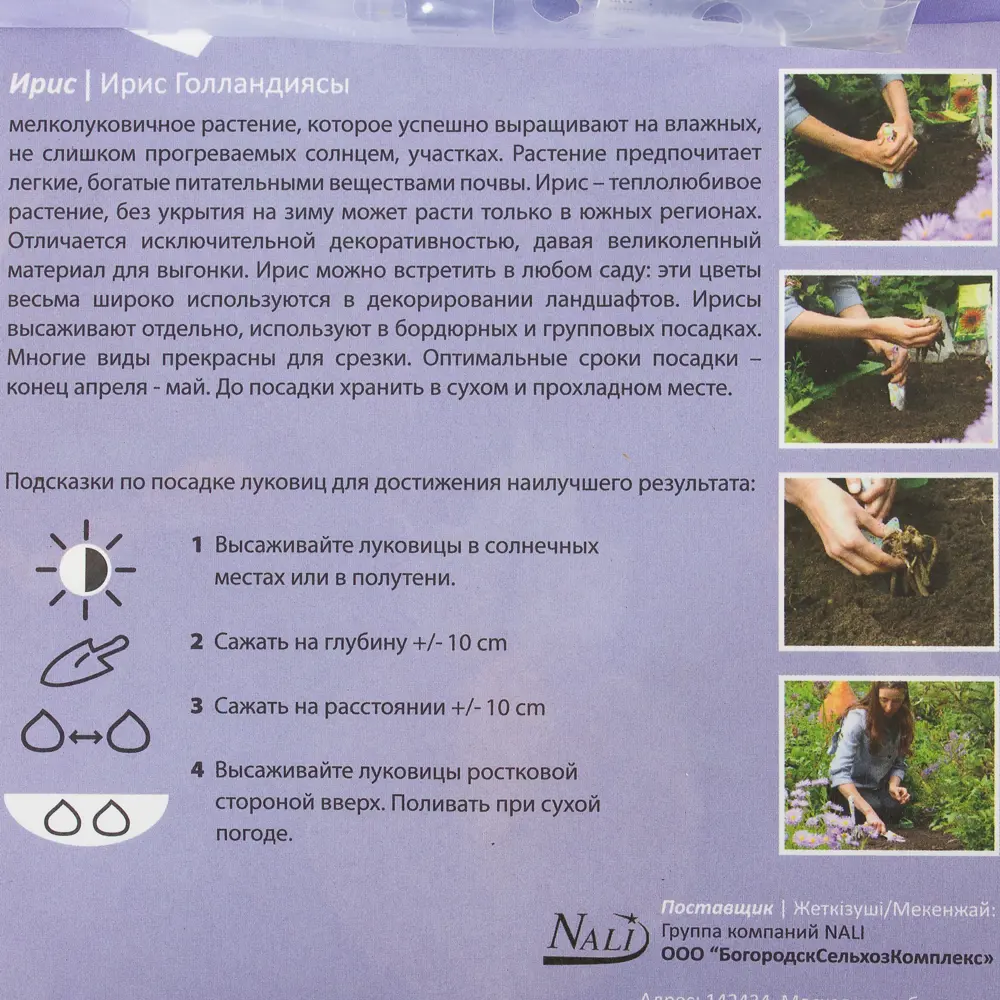 Ирис «Джипси Бьюти» 6/7 (G.BEAUTY) Santreyd STLM-2121099 - Вид №1