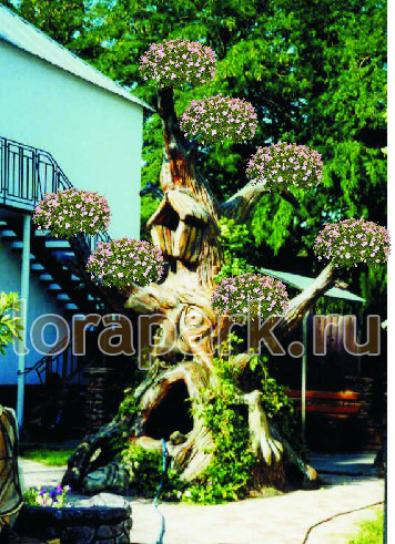 DL01-SB.DL ДЕРЕВО - ЛЕСОВИК LAB.Space 