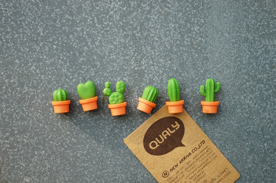 Магниты Cactus, 6 шт Qualy QL10288ORGN - Вид №6