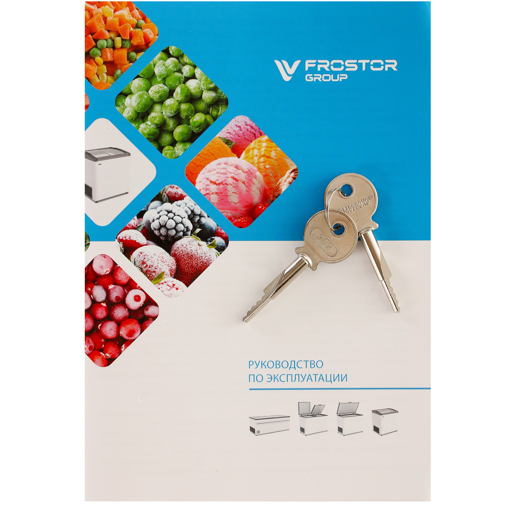 1229574 Морозильный ларь Frostor Gellar FG 250 C белый, красный STDN-0048634 - Вид №7