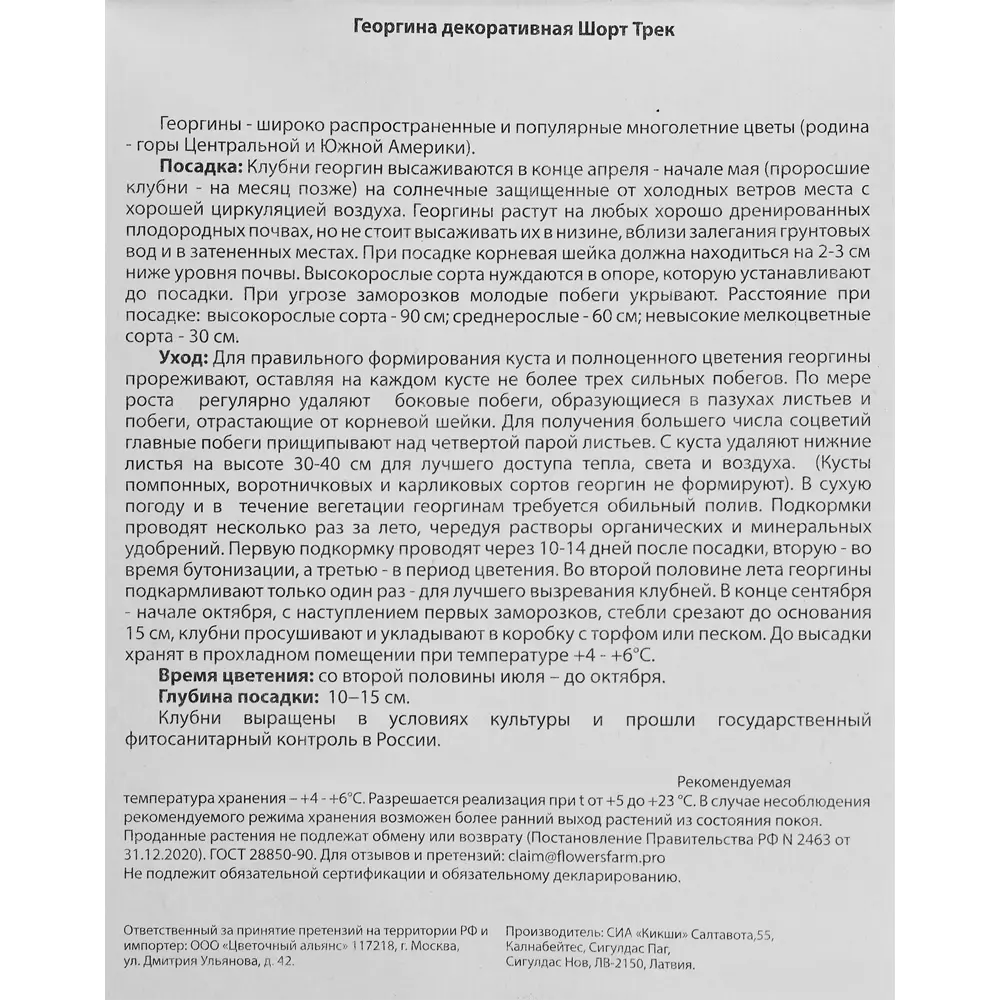 Георгина декоративная Шорт Трек 1 шт. 83628449 STLM-2188364 BLOOMING LIFE  - Вид №2