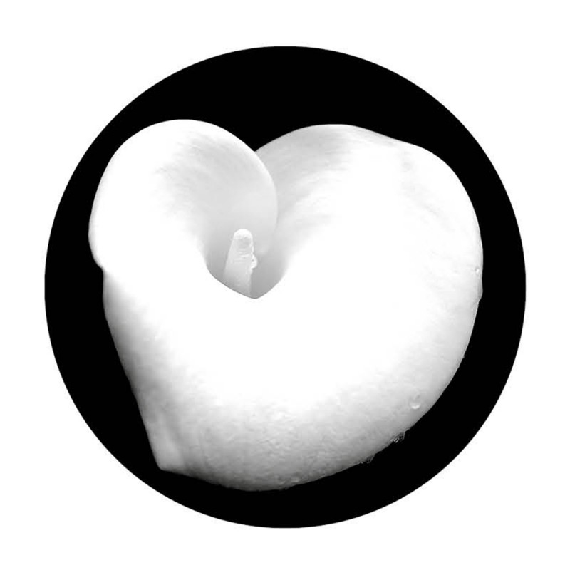 F156X160 Картина Джотто Adriani e Rossi  - Вид №9