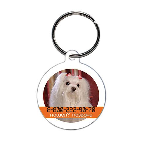 ПР0041341 Адресник круглый Мальтезе MYGUARDIAN 