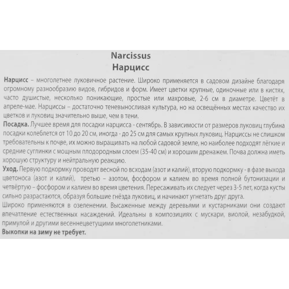 Нарцисс крупнокорончатый Кул флейм луковица 10/12, 3 шт. 88294749 STLM-2078152 Santreyd  - Вид №2