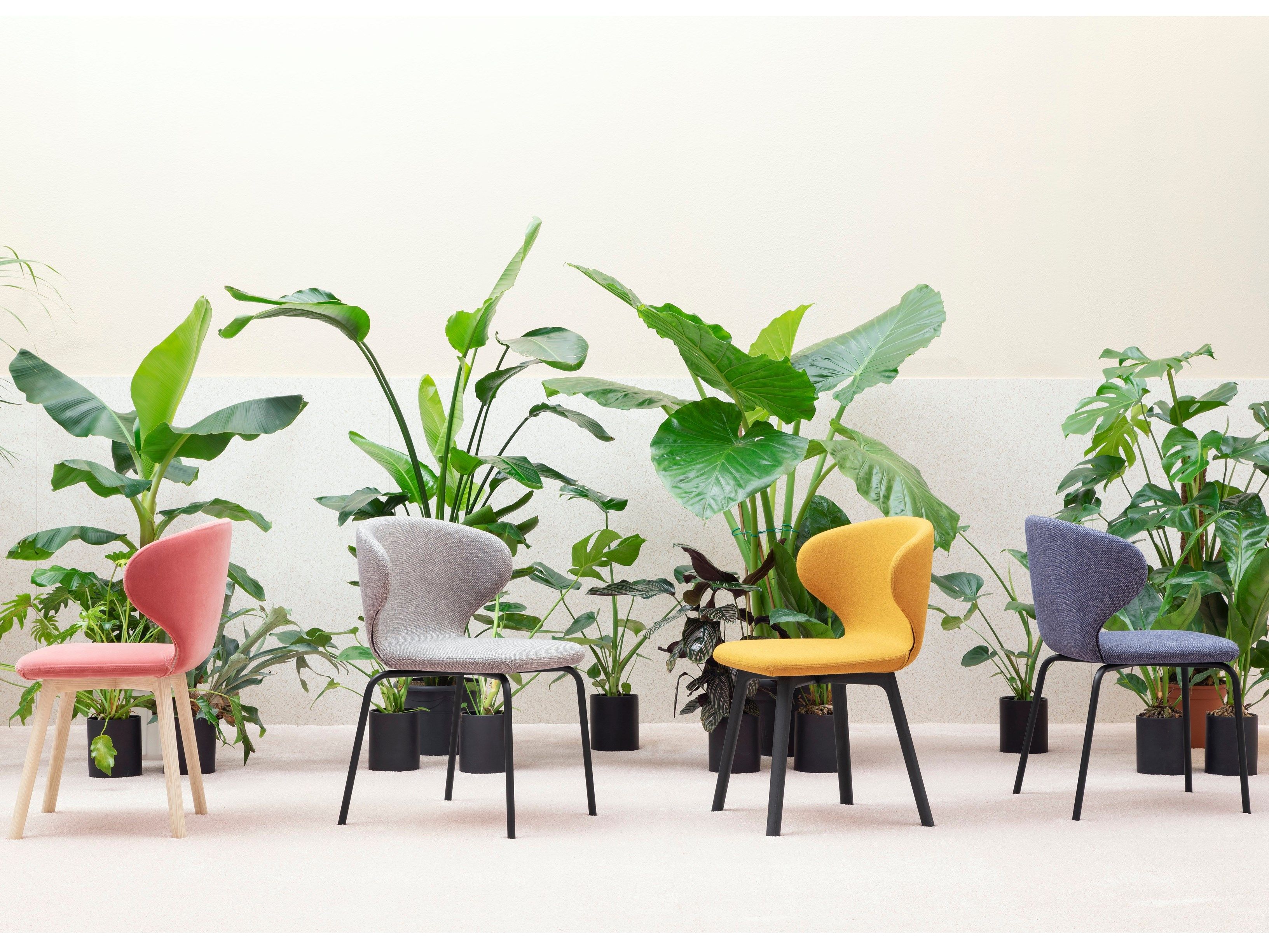 Мягкий тканевый стул с подлокотниками Miniforms MULA ARCH-00091082 - Вид №4