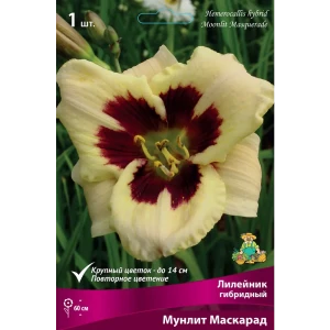 Лилейник гибридный Мунлит Маскарад 85205697 STLM-2132909