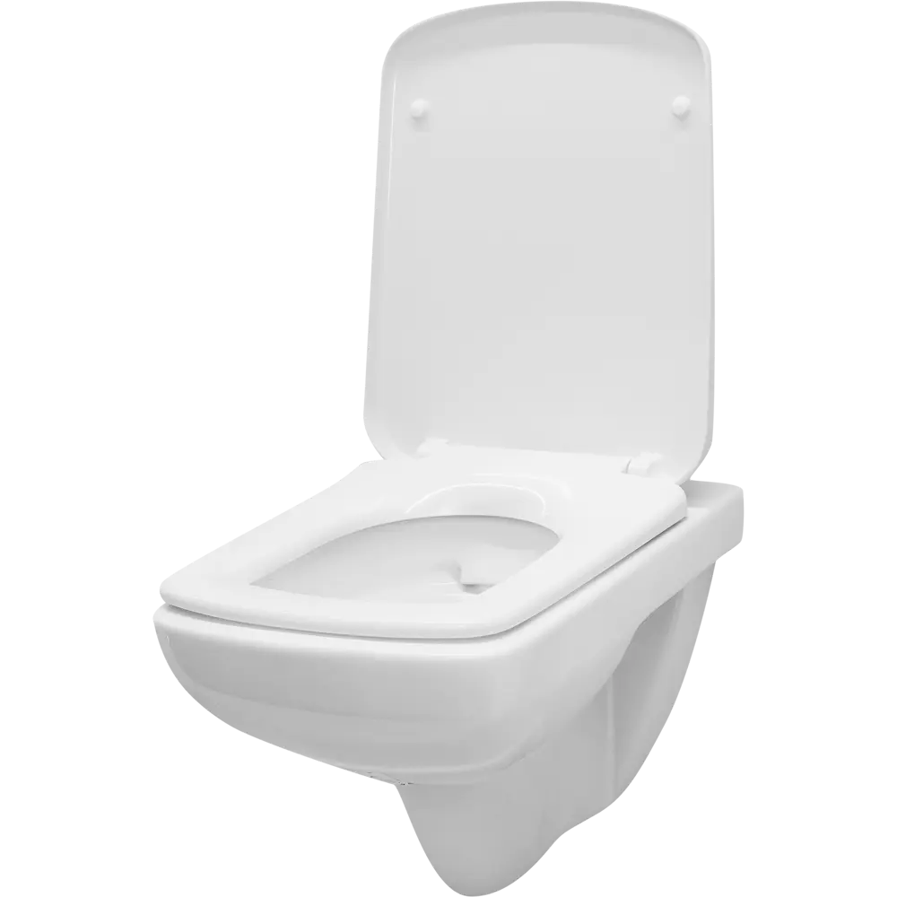 Унитаз подвесной Geberit Selnova безободковый STLM-2056075 - Вид №1