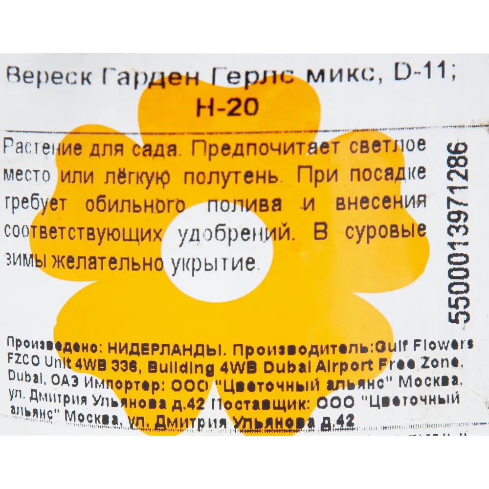 Вереск Гарден Гёрлс 11x20 см 82399541 STLM-2094002 Santreyd  - Вид №1