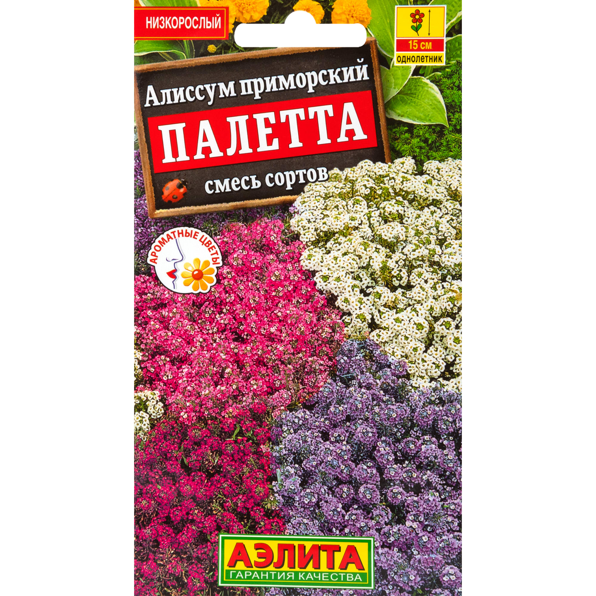 83495433 Семена Алиссум «Палетта» микс Santreyd 
