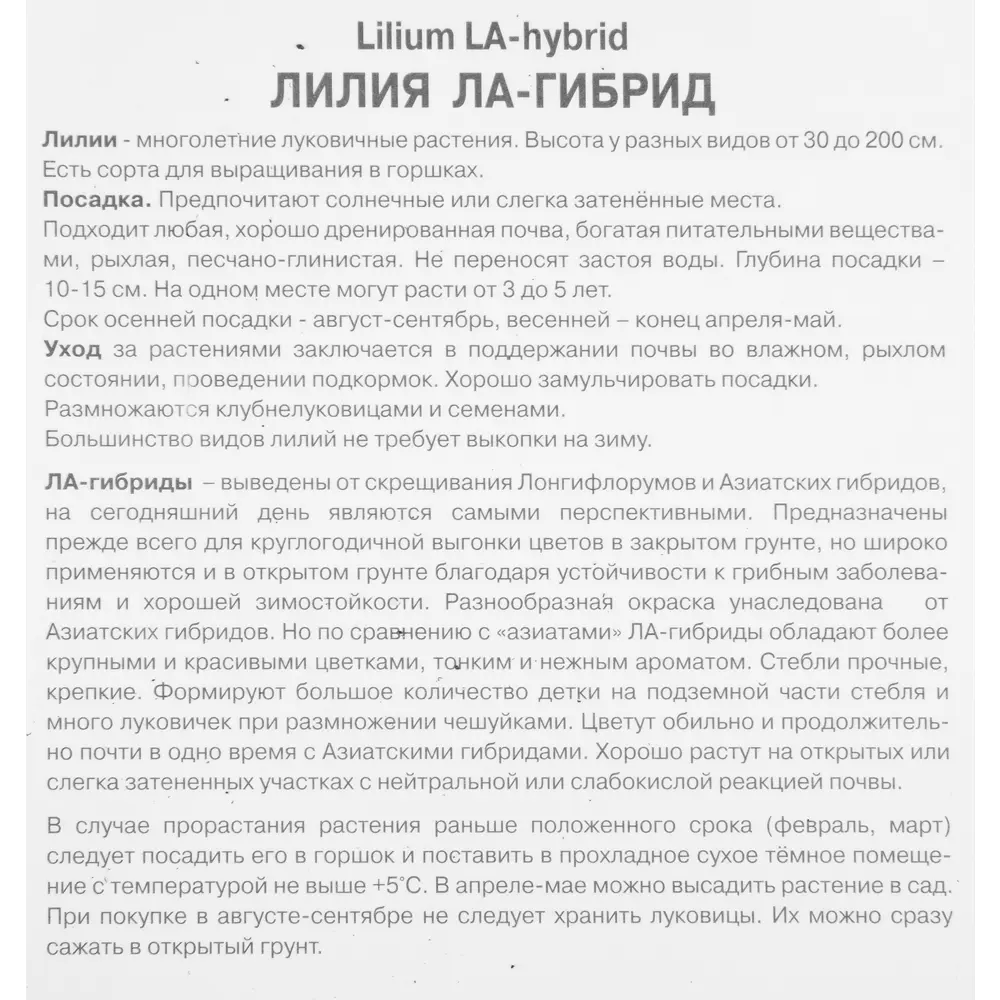 Лилия ЛА-гибрид Палена 1 шт. 83588544 STLM-2050315 Santreyd  - Вид №2