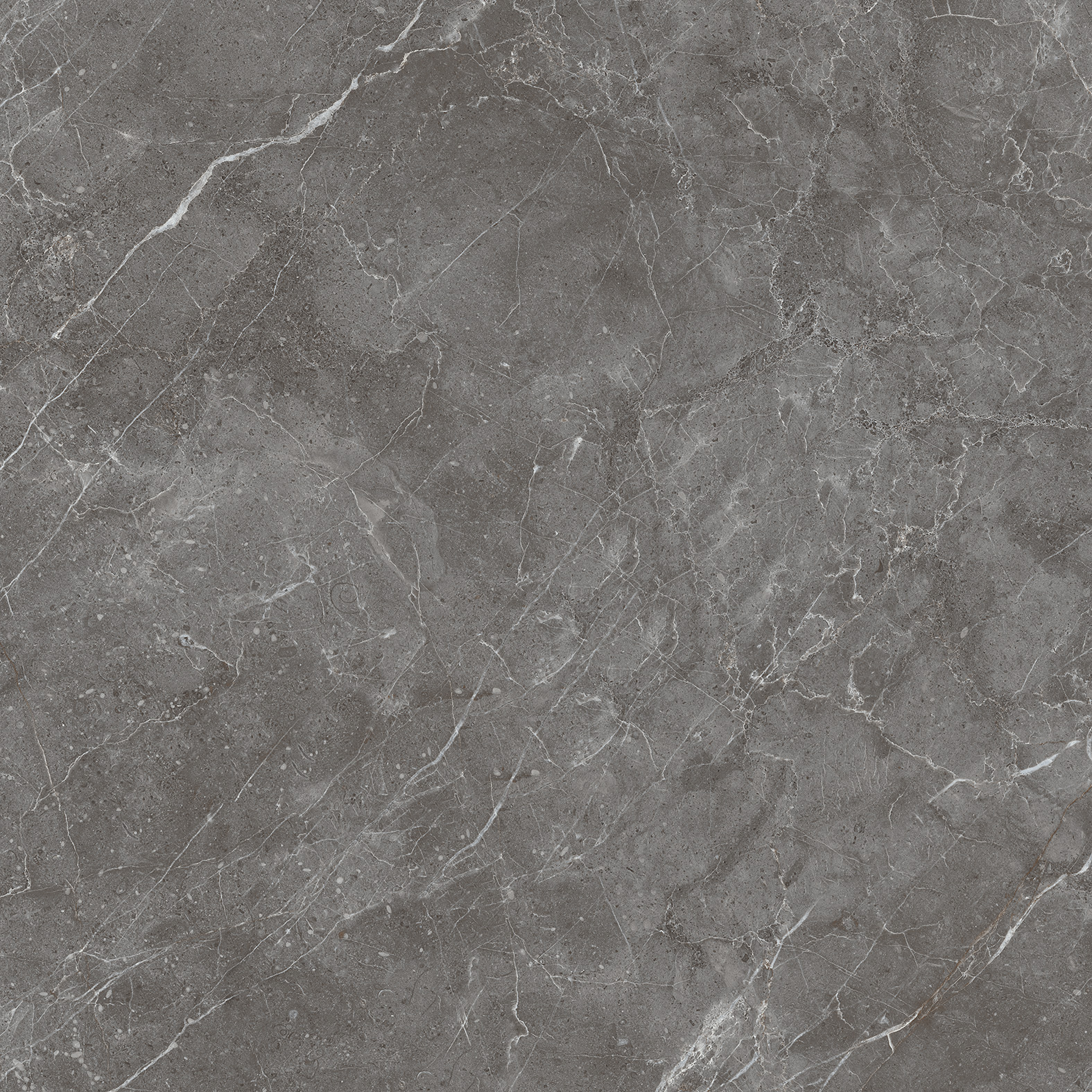 ESPERIA GRIGIO ARCADIA CERAMICA CR6001-A - Вид №12