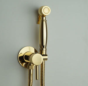 OR179 Emmevi, комплект гиг. душа со смесителем для гор. и хол. воды (руч. душ C02452), цвет золото